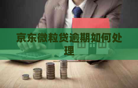 京东微粒贷逾期如何处理