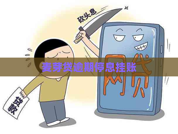 麦芽贷逾期停息挂账