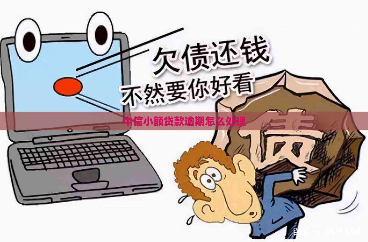 中信小额贷款逾期怎么处理