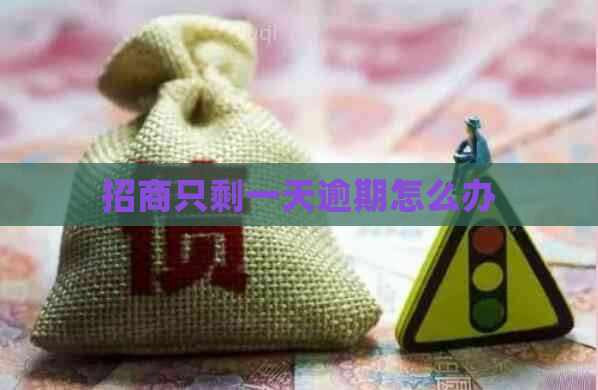 招商只剩一天逾期怎么办