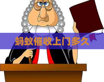 蚂蚁上门多久