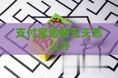 支付宝逾期五天怎么办