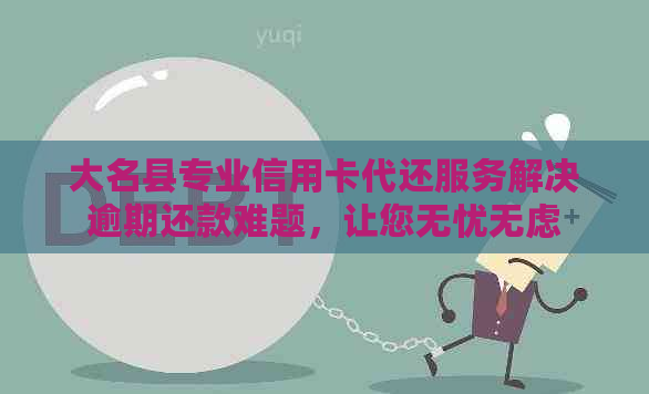 大名县专业信用卡代还服务解决逾期还款难题，让您无忧无虑