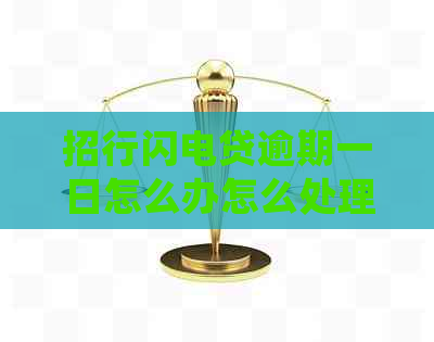 招行闪电贷逾期一日怎么办怎么处理