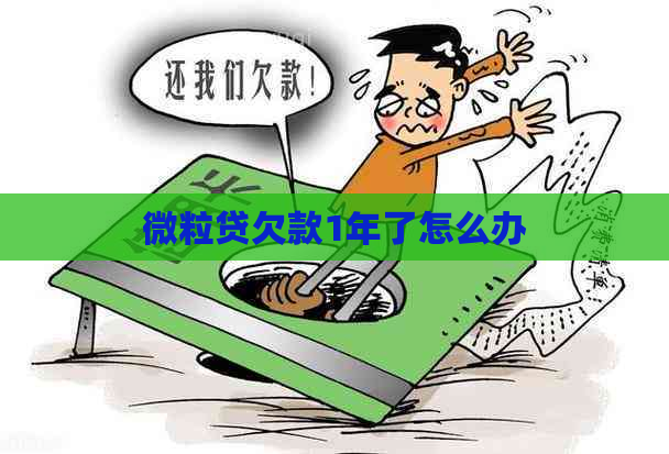 微粒贷欠款1年了怎么办