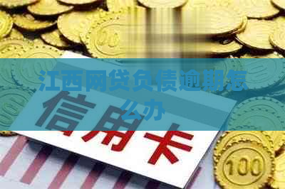 江西网贷负债逾期怎么办