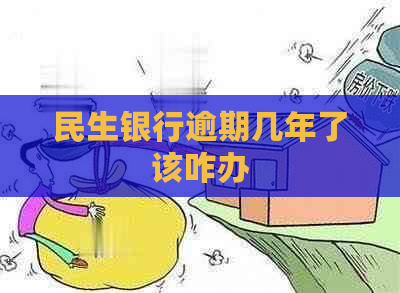 民生银行逾期几年了该咋办