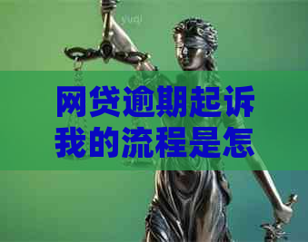网贷逾期起诉我的流程是怎样的