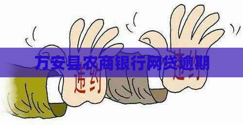 万安县农商银行网贷逾期
