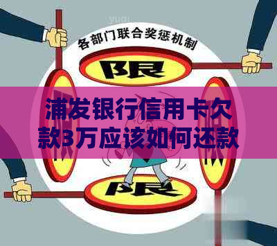 浦发银行信用卡欠款3万应该如何还款