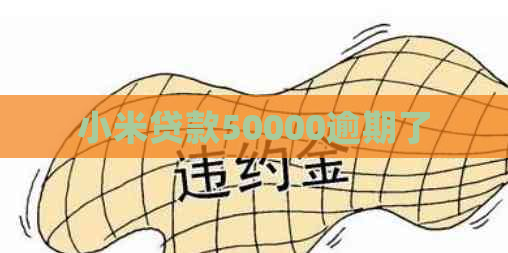 小米贷款50000逾期了