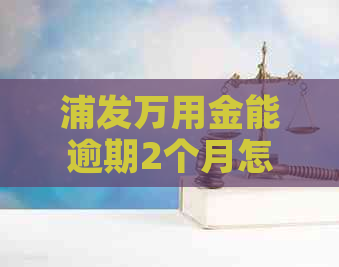 浦发万用金能逾期2个月怎么