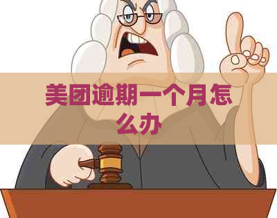 美团逾期一个月怎么办