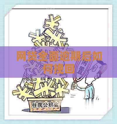 网贷全面逾期后如何挽回