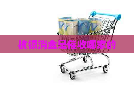 杭银消金是哪家的
