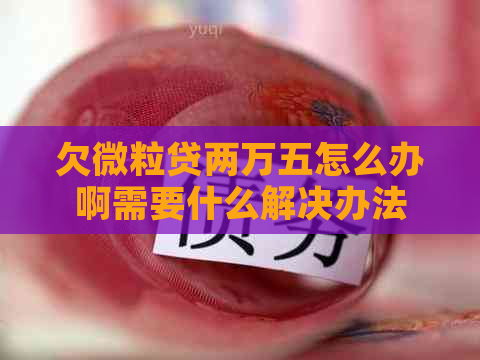 欠微粒贷两万五怎么办啊需要什么解决办法