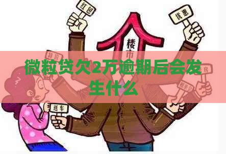 微粒贷欠2万逾期后会发生什么