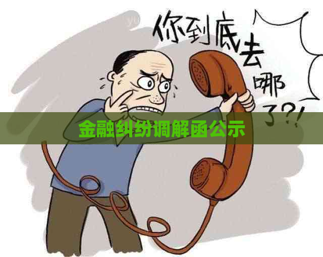 金融纠纷调解函公示
