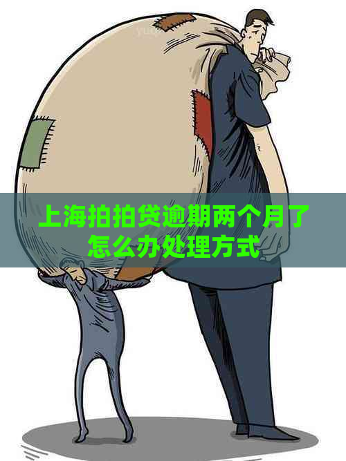 上海逾期两个月了怎么办处理方式