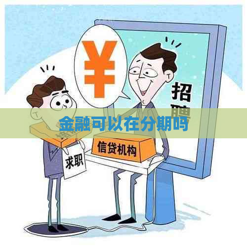 金融可以在分期吗