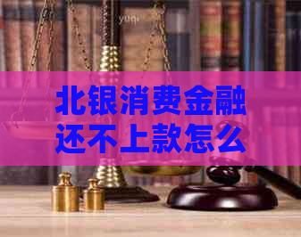 北银消费金融还不上款怎么办