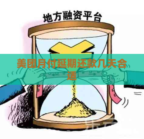 美团月付延期还款几天合适