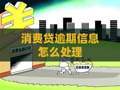 消费贷逾期信息怎么处理