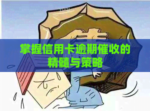 掌握信用卡逾期的精髓与策略