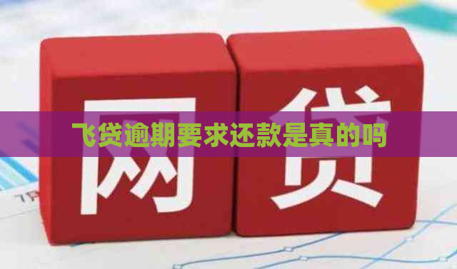 飞贷逾期要求还款是真的吗