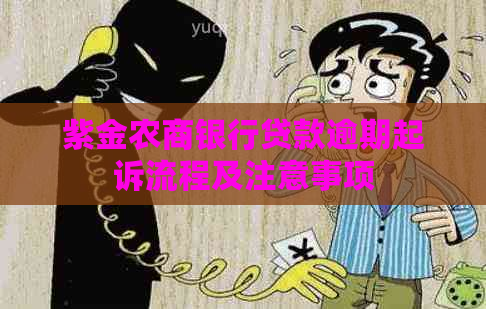 紫金农商银行贷款逾期起诉流程及注意事项