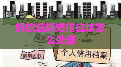 蚂蚁逾期短信应该怎么处理