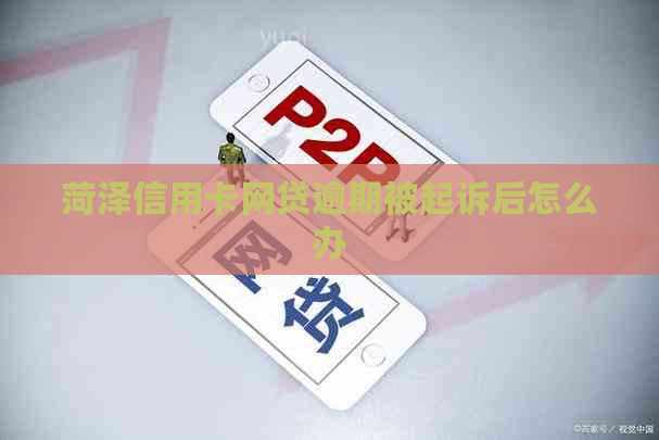 菏泽信用卡网贷逾期被起诉后怎么办