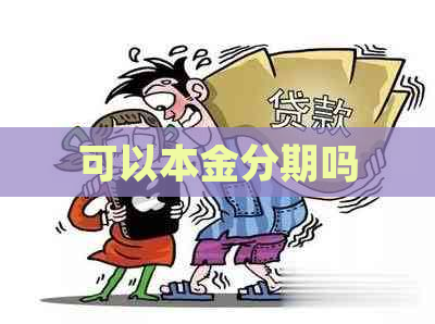 可以本金分期吗