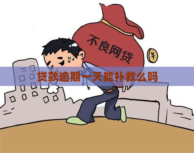 贷款逾期一天能补救么吗