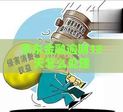 京东金融逾期18天怎么处理