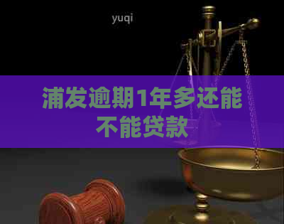 浦发逾期1年多还能不能贷款
