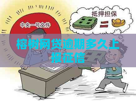榕树网贷逾期多久上报