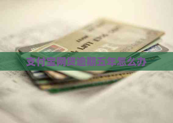 支付宝网贷逾期五年怎么办