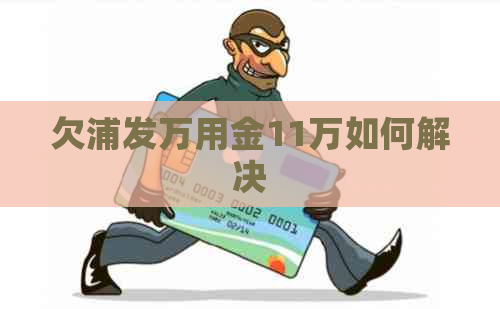 欠浦发万用金11万如何解决