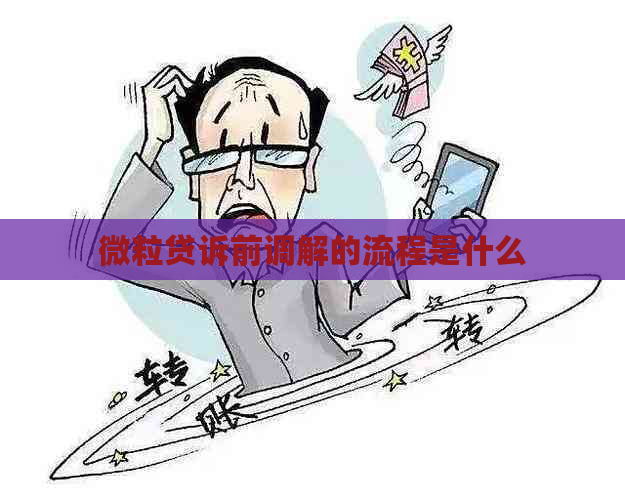 微粒贷诉前调解的流程是什么