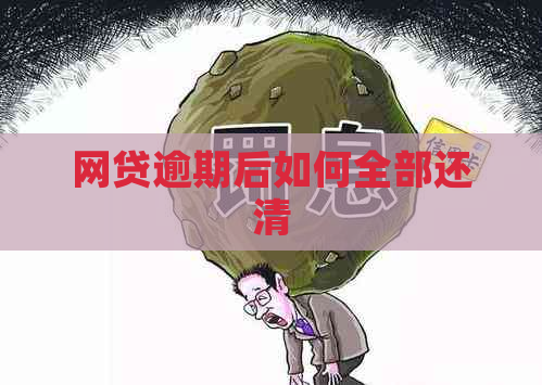 网贷逾期后如何全部还清