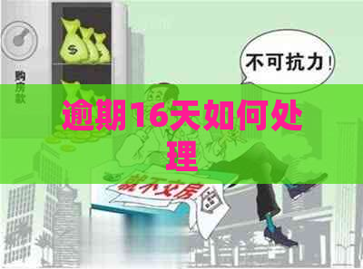 逾期16天如何处理