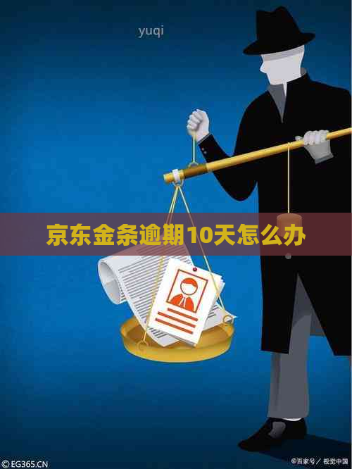 京东金条逾期10天怎么办