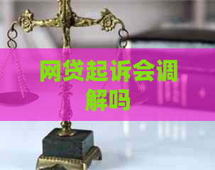 网贷起诉会调解吗