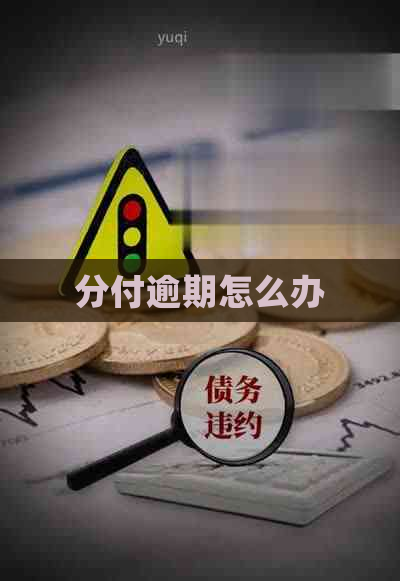 分付逾期怎么办