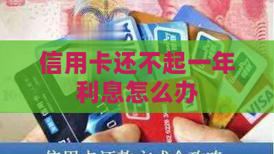 信用卡还不起一年利息怎么办