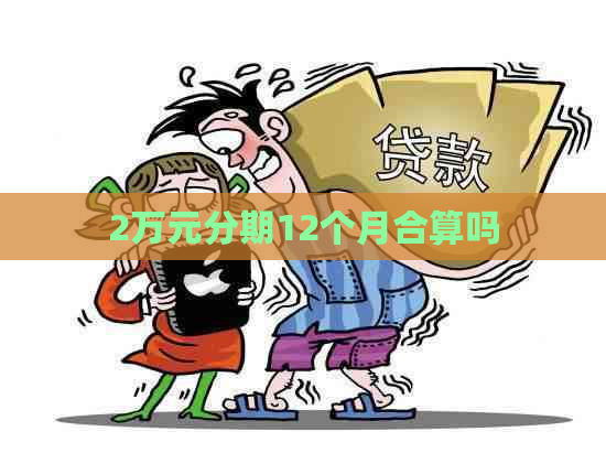 2万元分期12个月合算吗