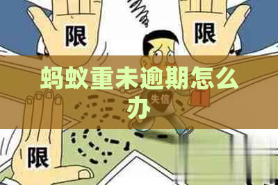 蚂蚁重未逾期怎么办