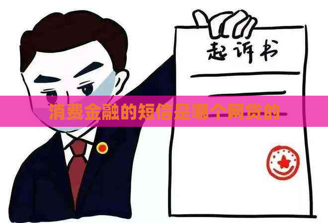 消费金融的短信是哪个网贷的