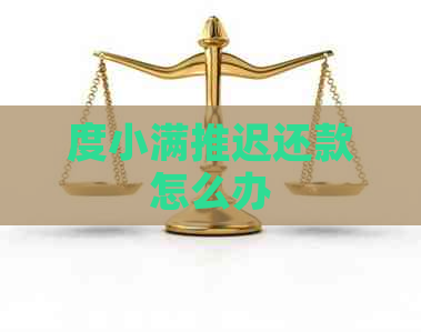 度小满推迟还款怎么办